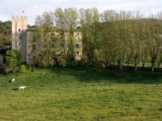 Château d'Esparron - Esparron-de-Verdon - 4