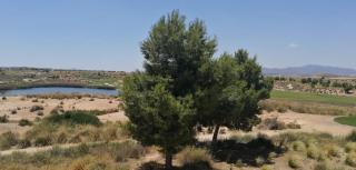 Tranquility, Condado De Alhama - Alhama de Murcia - 9