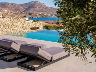 Blue Eye Grand Villa Mykonos - Kalafatis - 1