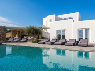 Blue Eye Grand Villa Mykonos - Kalafatis - 0