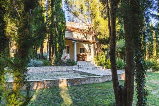 Country House Uros in Nature with Pool - Lovorno - 6