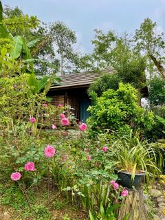 Anne House Bac Ha - Bắc Hà - 8