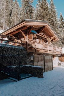 Savoya Lodges - Châtel - 1