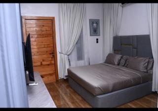 Grand Luxury Apartment - Lekki - 4