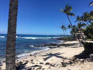 Kona Reef#B15 - Kailua-Kona - 0