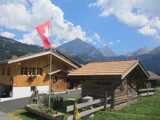 Gässlihof - Gstaad - 6