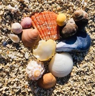 Nydelig hytte ved havet nært Tromsø - 5