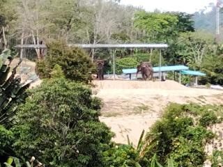 Mountain View Resort - Ban Sakhu - 6