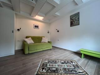 The LODGE, separate apartment in a vila, with floor heating, groundfloor - Sinaia - 1