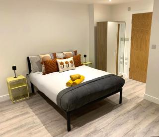 Sleek Studio Flat near Highbury & Islington station - Londra - 3