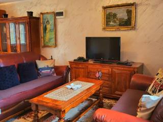 Villa Povlen - Mini bar, Hot tub, Bazen, Ozvučenje u srcu šume - Prokići - 1