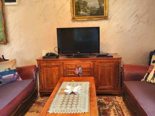 Villa Povlen - Mini bar, Hot tub, Ozvučenje u srcu šume - 2
