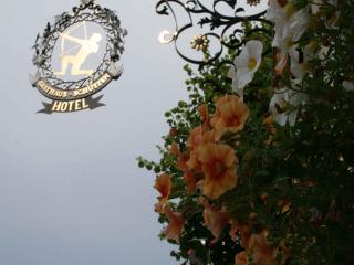 Hotel Schützen - Bad Peterstal-Griesbach - 5