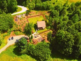 Villa Povlen - Mini bar, Hot tub, Bazen, Ozvučenje u srcu šume - Prokići - 8
