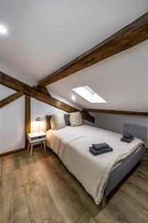 MAISON LE GRATTE CIEL - séminaire ou famille, salle de réunion, 8 chambres Clim, Jardin & Salle de sport - Villeurbanne - 4