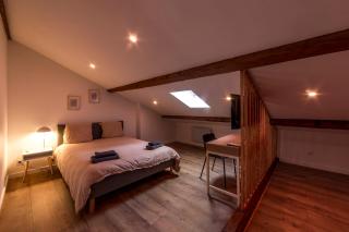 MAISON LE GRATTE CIEL - séminaire ou famille, salle de réunion, 8 chambres Clim, Jardin & Salle de sport - Villeurbanne - 2
