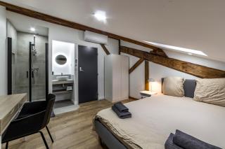 MAISON LE GRATTE CIEL - séminaire ou famille, salle de réunion, 8 chambres Clim, Jardin & Salle de sport - Villeurbanne - 3