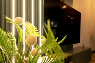 Fenix Apartments - Sokobanja - 5