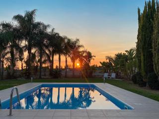 Villa Aris - Ayios Theodhoros - 8