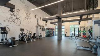 The Westerly Apartments in Dallas - Dallas - 7