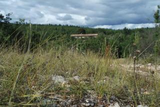 Le Mas de Loume - Sault - 8