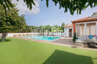 Villa Bio Finca With Pool - Playa Paraiso - 4