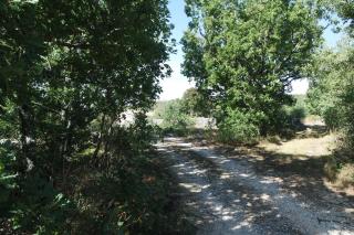 Le Mas de Loume - Sault - 8