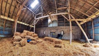 Gut-Royum-Strohlager - Brodersby - 6