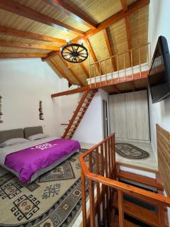 Sasha place - Predeal - 5