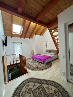 Sasha place - Predeal - 3