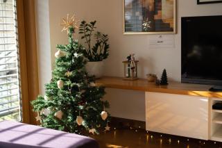Home Away From Home - Radovljica - 9