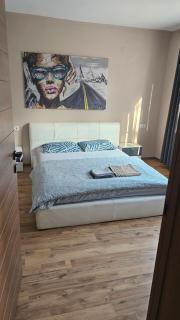 ELISA Apartment 20B Center-Skopje - Skopje - 9