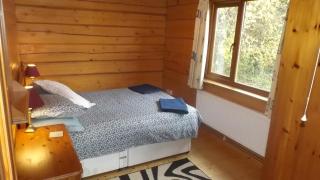 Hand built log cabin at Avonvale Holiday Lodges - 9