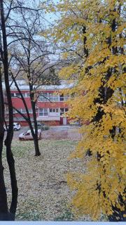 Vist 3 apartment - 5