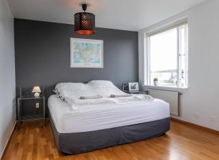 Aurora Northern Lights Apartment - Reykjavik - 7
