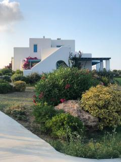 Eliza & Mike's Villas Paros - Kampos Paros - 9