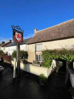 Drewe Arms Bunk Rooms & Church Cottage - Drewsteignton - 1