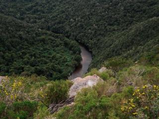 Mountain Magic Hoekwil - 1