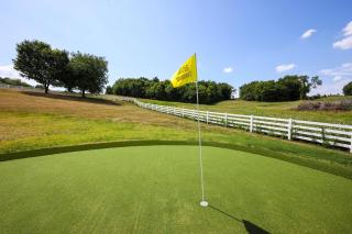 Majestic Manor-Private Hundred Acre Yard-Pool/Spa - Lebanon - 7