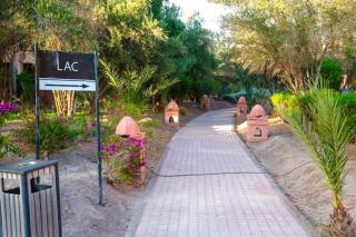 Paradis à marrakech Grande Piscine - Marrakesch - 2