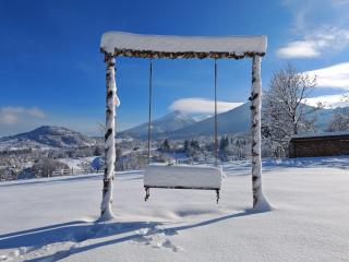 Cabana Maramures Landscape - Moisei - 6