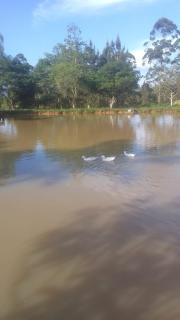 Casinha do Pomar - Doutor Pedrinho - 1