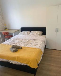 Chambre cosy et conviviale à Poitiers - Poitiers - 7