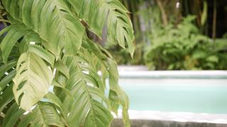 Joy Canggu - 2