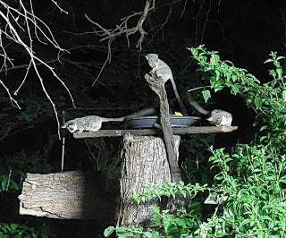 Lenny's Den - Marloth Park - 0