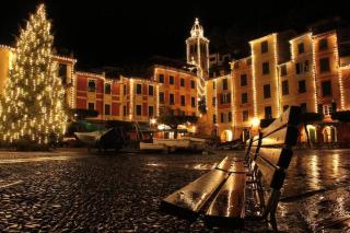 Cozy Studio 3 Minute Walk to Sea and Center - Rapallo - 6