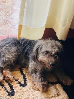 Mackenzie - Kampala - 2