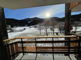 Charmant T2 cabine au pied des pistes avec balcon et commodités - FR-1-787-85 - Laveissière - 3