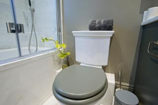Luxurious 2-Bedroom with Rooftop Terrace, gourmet kitchen & Fireplace - London - 1