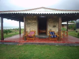 Palmyrah World - Jaffna - 0